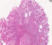 乐竞电竞入口 -xldeos完全免费